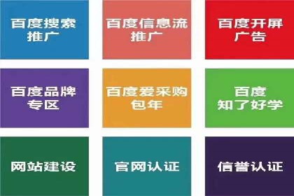 SEM竞价代运营公司案例深度解析